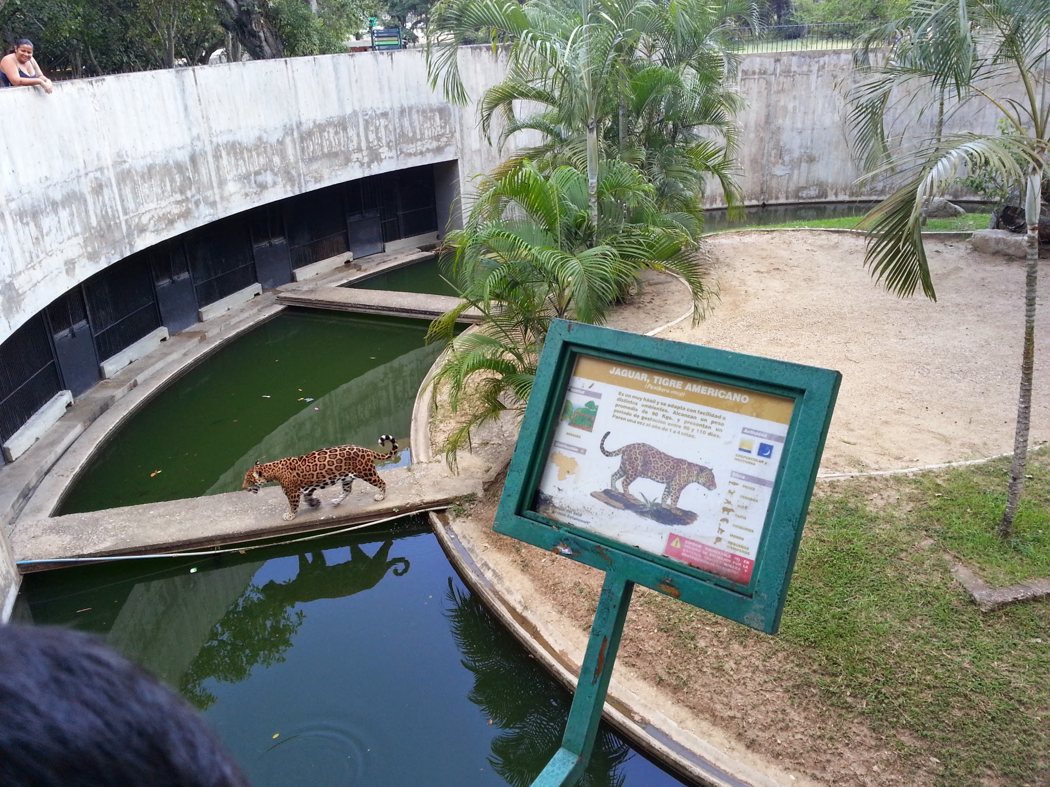 East Park 12
